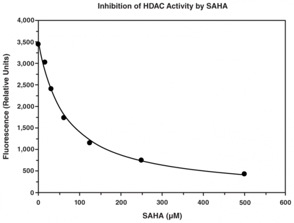 HDAC Cell-Based Activity Assay Kit