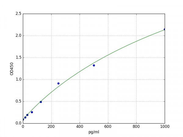 Human KLHL17 / Kelch-like protein 17 ELISA Kit
