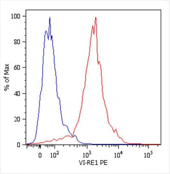 Anti-Vimentin, clone VI-RE/1 (PE)