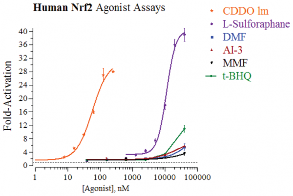 Nrf2 (Human) Reporter Assay System