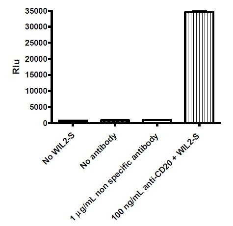 ADCC Bioassay Effector Cell (Mouse) - Jurkat Recombinant Cell Line