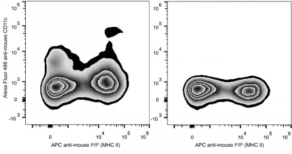Anti-CD11c (mouse), clone N418, GenieFluor 488-conjugated