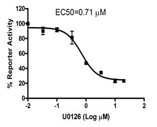 Transfection Collection(TM) : SRE Transient Pack (MAPK/ERK Signaling Pathway)