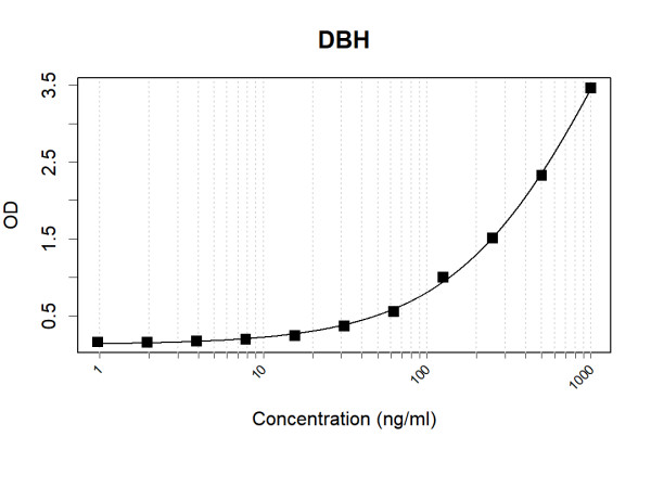 Anti-Human Dopamine beta Hydroxylase Antibody Pair
