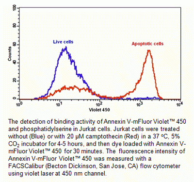 Cell Meter(TM) Annexin V Binding Apoptosis Assay Kit, Blue Fluorescence Excited at 405 nm