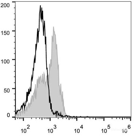 Anti-Mouse CD28 (PE Conjugated)[37.51], clone 37.51