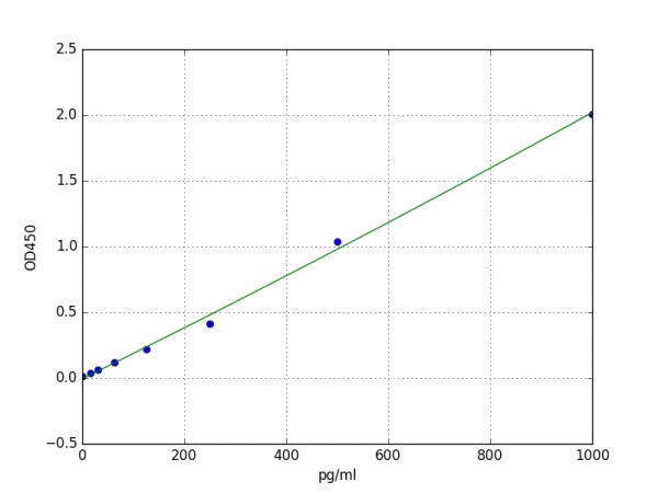 Rabbit interleukin 6 ELISA Kit