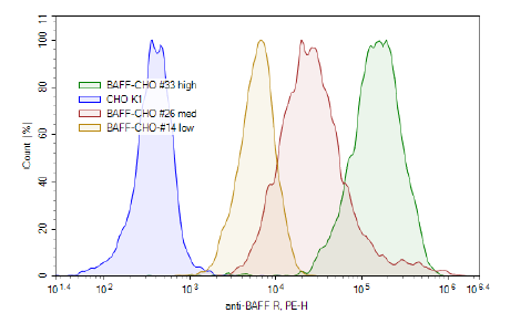 BAFF-R - CHO K1 Recombinant Cell Line (High Expression)