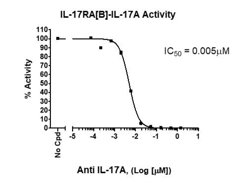 IL-17RA[Biotin]:IL-17A Inhibitor Screening Assay Kit