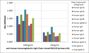 Anti-Ig Light Chains (human), Rabbit Monoclonal (RM129) (Biotin)