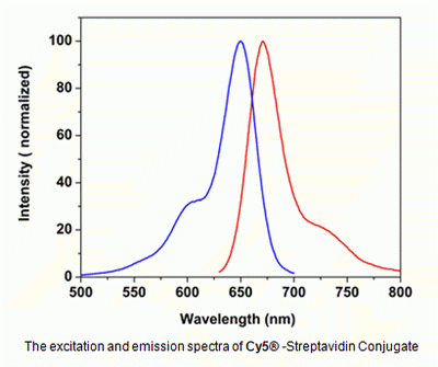 Cy5(R)-streptavidin conjugate