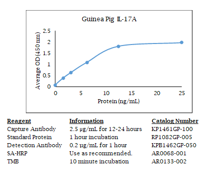Anti-pig (guinea) IL-17A, Biotin conjugated