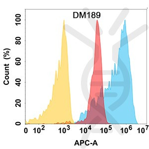 Anti-BCL2L1 antibody(DM189), Rabbit mAb