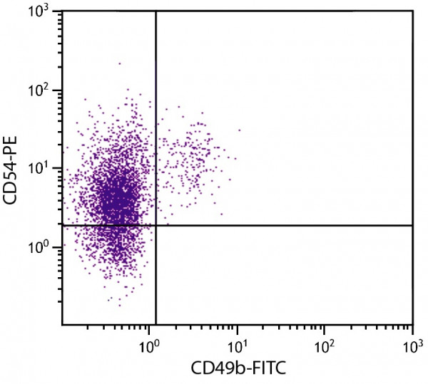 Anti-CD54 / ICAM1 (PE), clone YN1/1.7.4