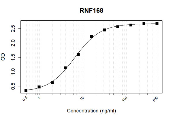 Anti-Human RNF168 Antibody Pair