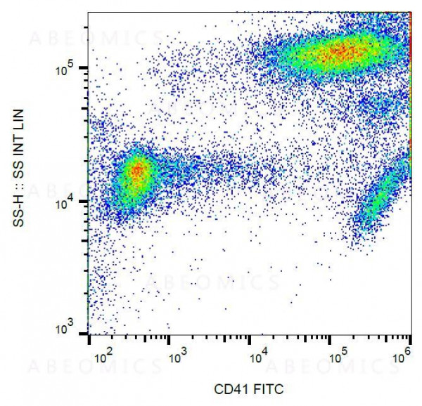 Anti-CD41 / Platelet GPIIb Monoclonal Antibody (Clone:MEM-06)-FITC Conjugated