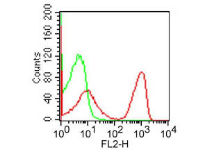 Anti-CD3, clone OKT3, Phycoerythrin conjugated