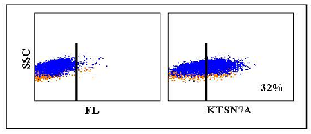 Anti-CD69 (bovine), clone KTSN7A