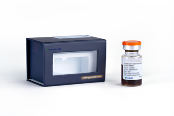 CytoSinct(TM) CD56 Nanobeads, human (GMP)