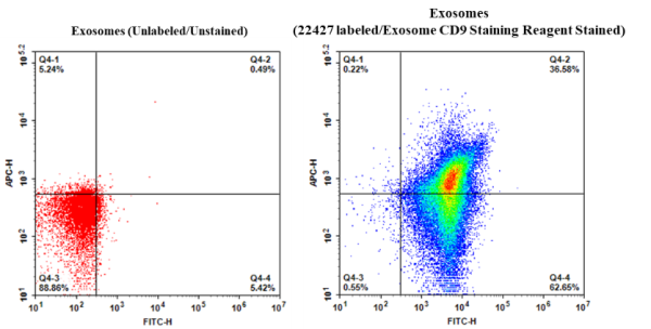 Cell Navigator(TM) Exosome Fluorescence Staining Kit *Orange Fluorescence*
