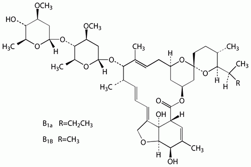 Ivermectin