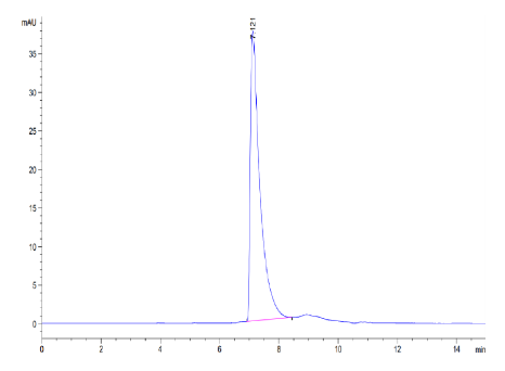 CD229/SLAMF3, His &amp; Avi, Human