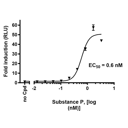 TACR1 (NK1R)/NFAT Luciferase Reporter HEK293 Cell Line