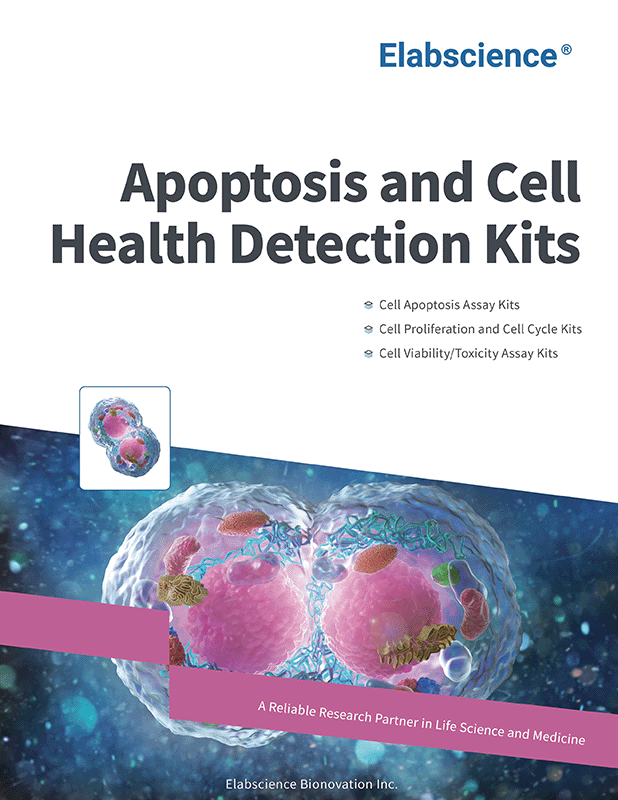 Apoptosis and Cell Health Detection Kits