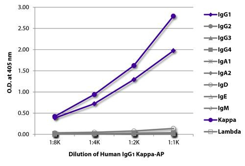 Human IgG1 Kappa Isotype Control antibody (AP)
