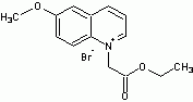 MQAE (N-(Ethoxycarbonylmethyl)-6-methoxyquinolinium bromide)
