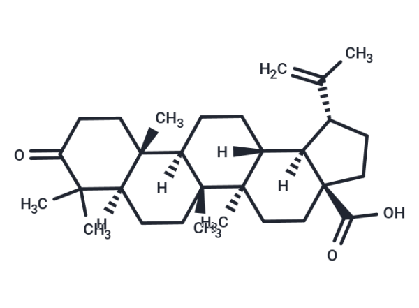 Betulonic acid