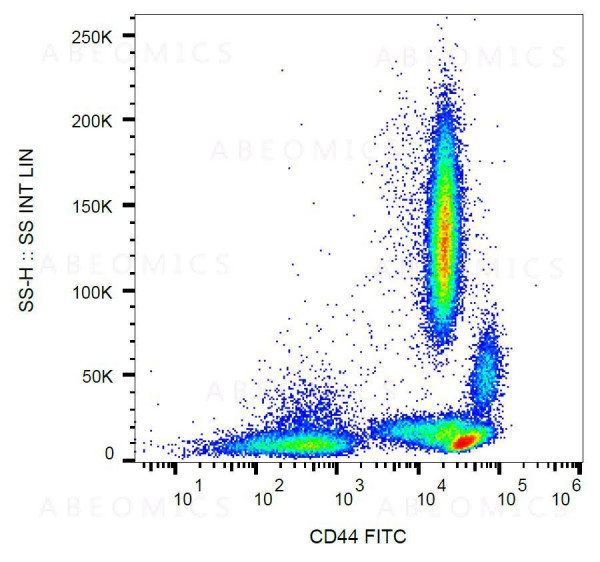 Anti-CD44 / Pgp-1 Monoclonal Antibody (Clone:MEM-85)-FITC Conjugated