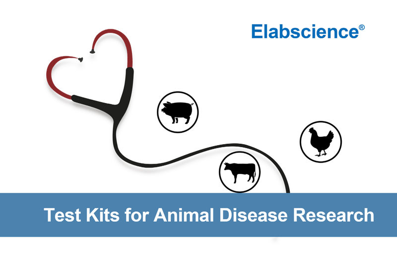 Elabscience Test Kits for Animal Disease Research