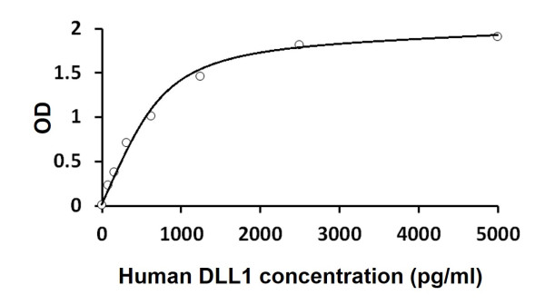 Human DLL1 ELISA Kit
