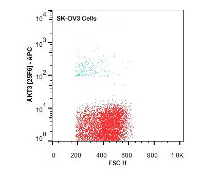 Anti-AKT3 Allophycocyanin Conjugated, clone 25F6.F6.D8