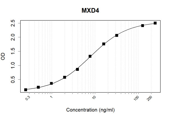 Anti-Human MXD4 Antibody Pair