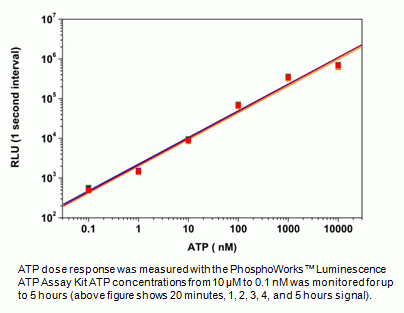 PhosphoWorks(TM) Luminometric ATP Assay Kit *Steady Glow*