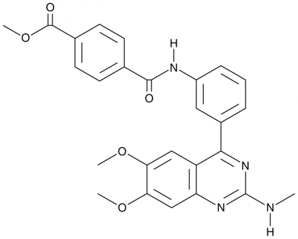 E6005