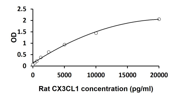 Rat CX3CL1 ELISA Kit