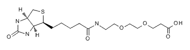 Biotin-PEG2-Acid