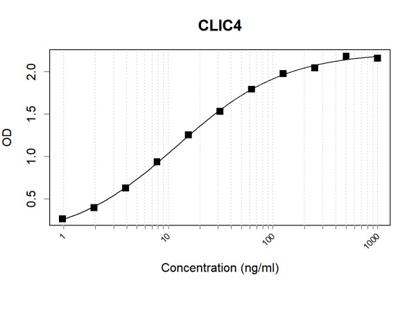 Anti-Human CLIC4 Antibody Pair