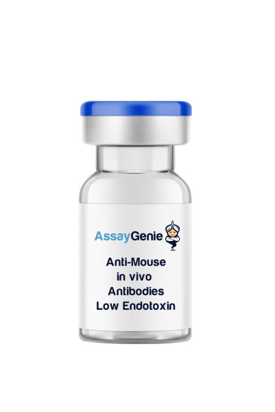 Anti-Mouse CD24 In Vivo Antibody - Low Endotoxin