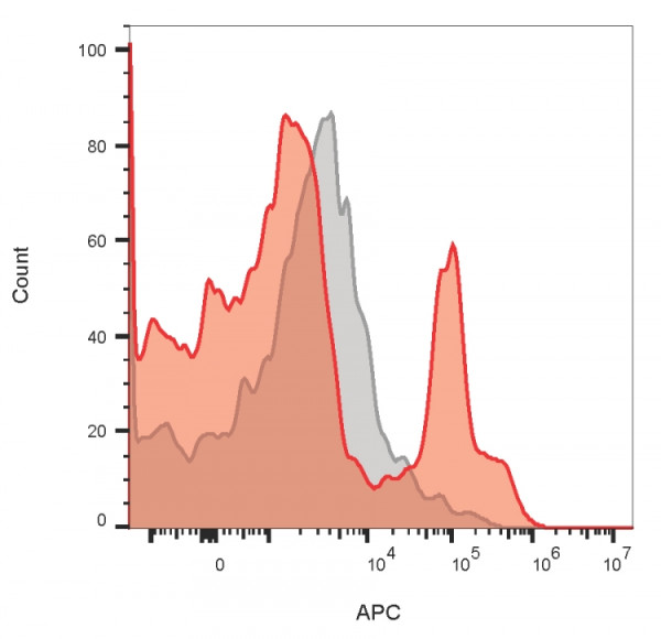 Anti-CD19 (B-Lymphocyte Marker), clone PDR134