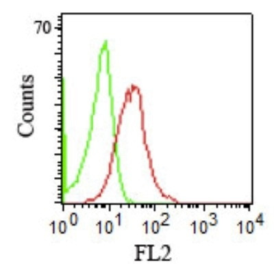 Anti-CD1b (T-Cell Surface Glycoprotein), clone RIV12
