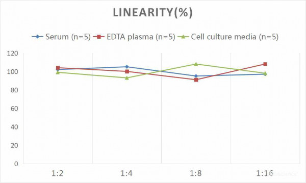 Human NRG-1 (Neuregulin 1) CLIA Kit