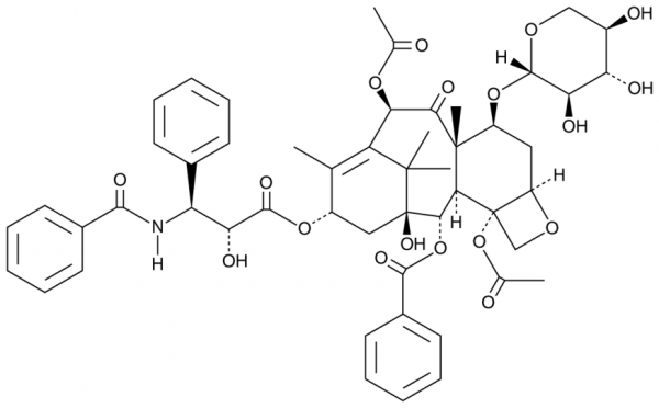 7-Xylosyltaxol