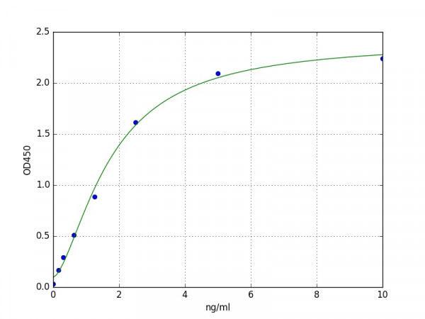 Human Tankyrase 2 ELISA Kit