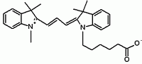 Cy3NS acid