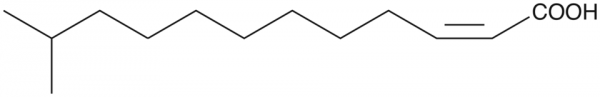 cis-Delta2-11-methyl-Dodecenoic Acid