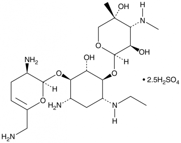 Netilimicin (sulfate)